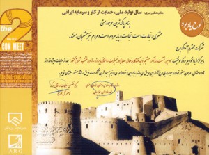 جوایز و تقدیرنامه های شرکت